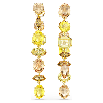 SWAROVSKI עגילי GEMA ציפוי זהב
