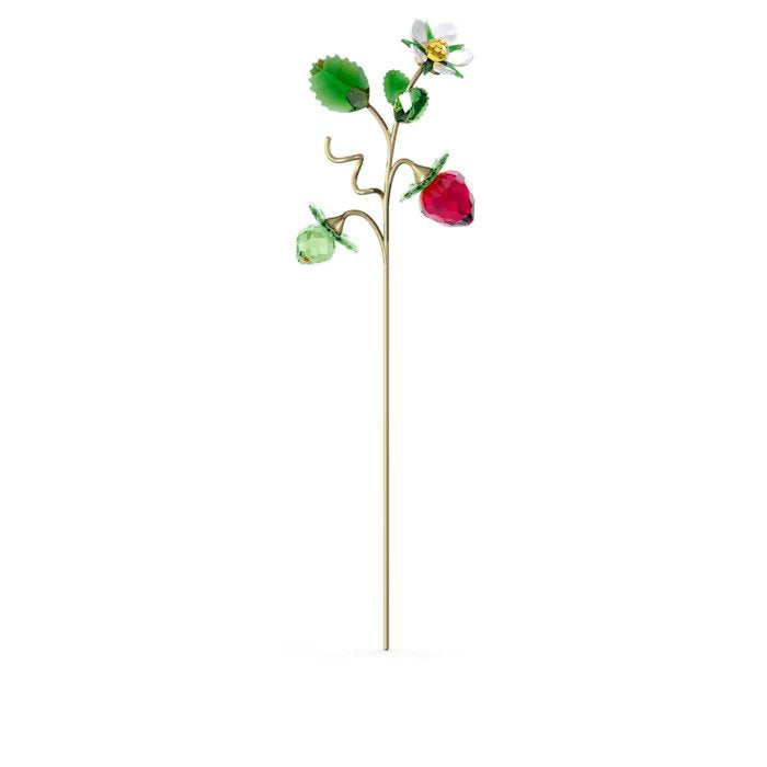 SWAROVSKI פרח קריסטל Garden Tales Wild Strawberry